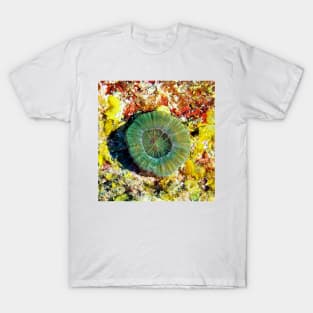 Emerald Green Artichoke Coral T-Shirt